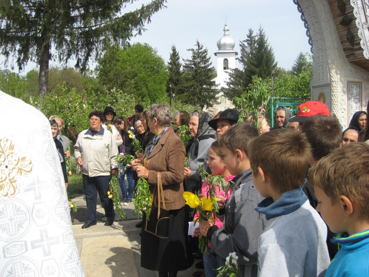 Pelerinaj Florii 2016